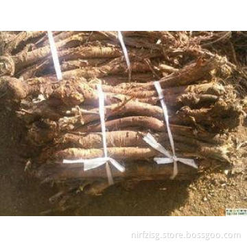 Oxymatrine Sophora Root Extract